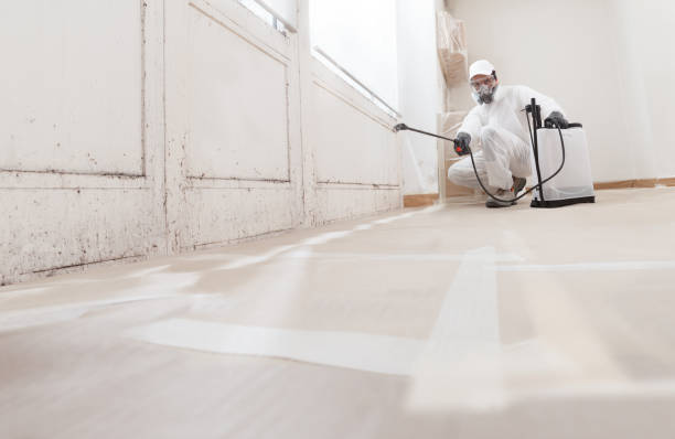 24/7 Emergency Black Mold Remediation experts in Somerville, TN